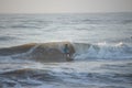 Kovalam, Chennai, Tamilnadu, India - Ã¢â¬Å½Ã¢â¬Å½August 9th Ã¢â¬Å½2021: Young boy Indian surfer surfing and practicing on the beach waves